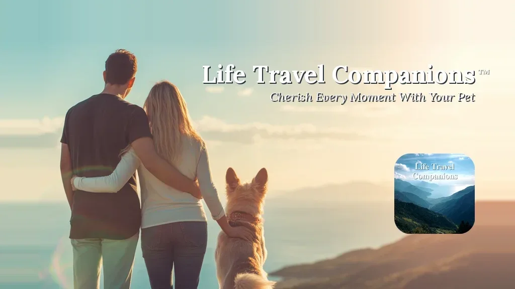 Life Travel Companions